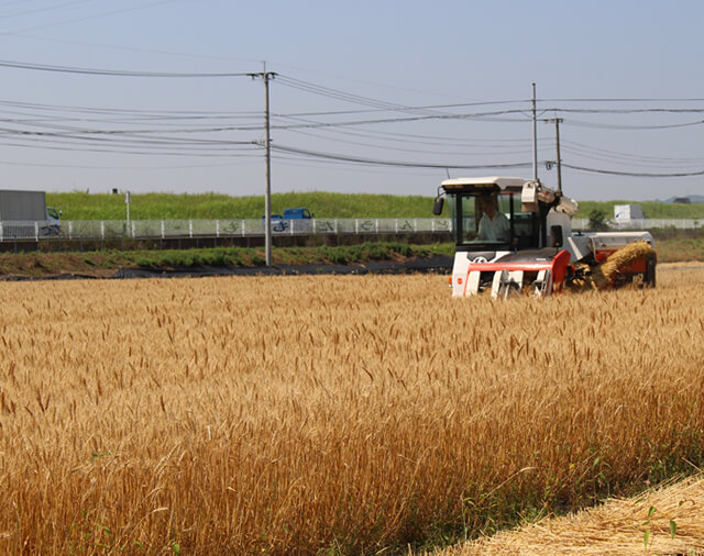 代々受け継がれた農業技術