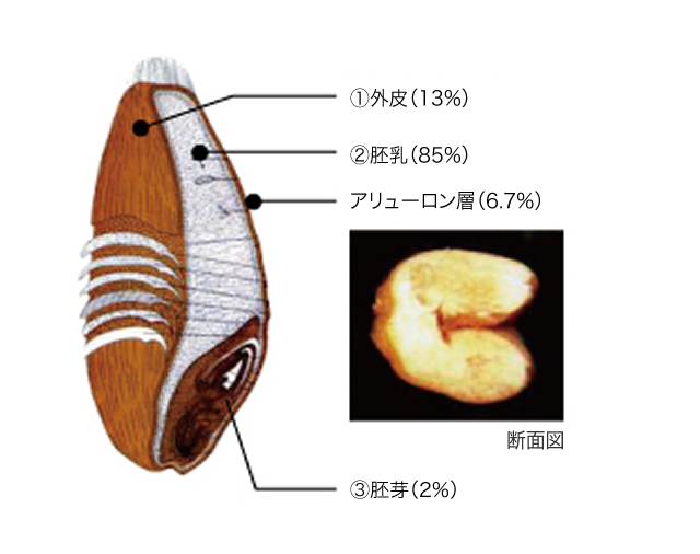 豊富な栄養価