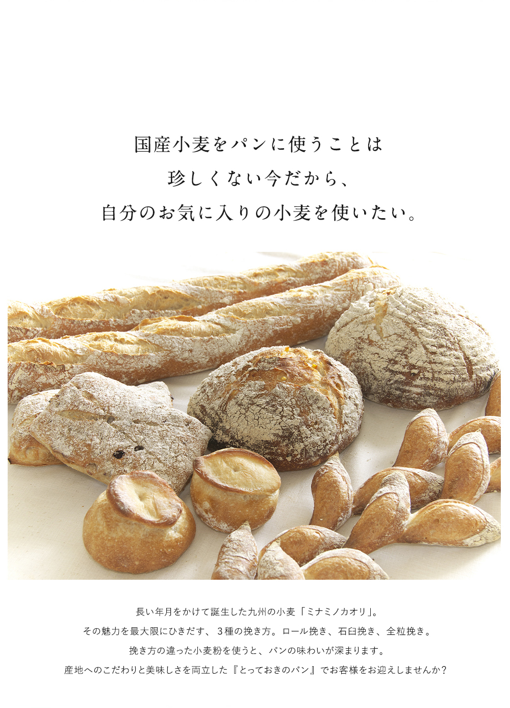 国産小麦をパンに使うことは珍しくない今だから、自分のお気に入りの小麦を使いたい。
