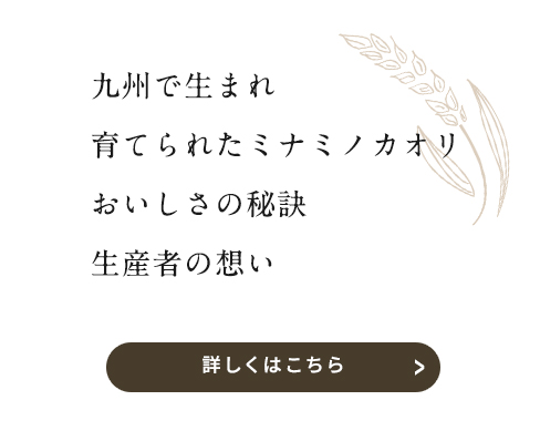 九州で生まれ 育てられたミナミノカオリ おいしさの秘訣 生産者の思い