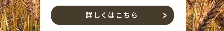 詳しくはこちら