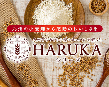 HARUKAシリーズ